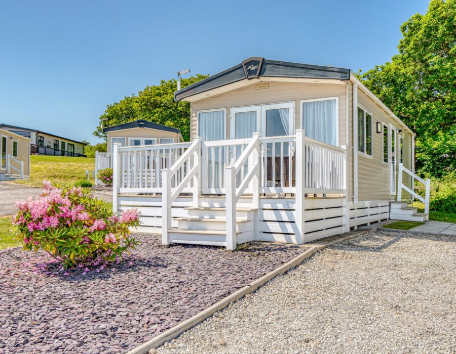 Goldfinch-3-Small4-1536x1024