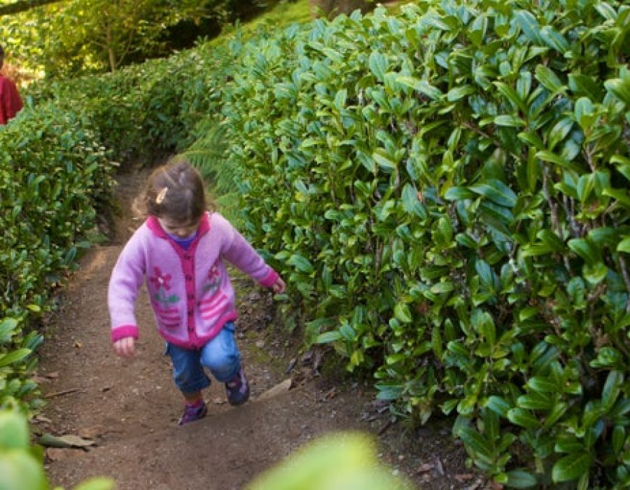 Meadow Lakes Holiday Park