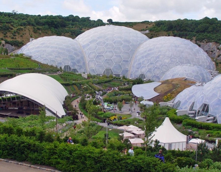 The_Eden_Project,_Cornwall_-_geograph.org.uk_-_769368