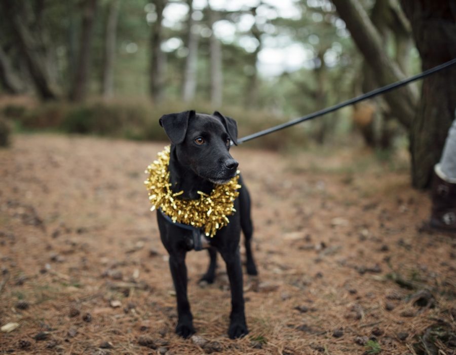 Meadow Lakes Holiday Park