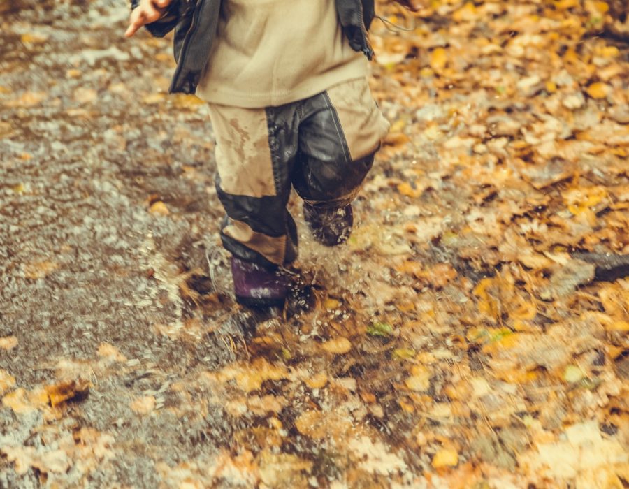 Meadow Lakes Holiday Park