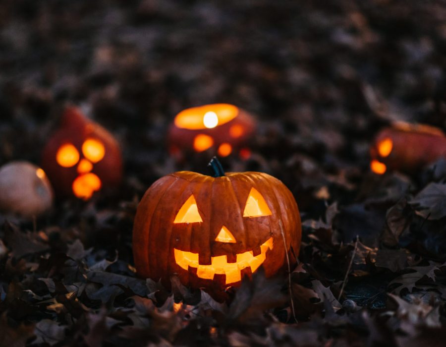 iStock-1312954682-1536x1025