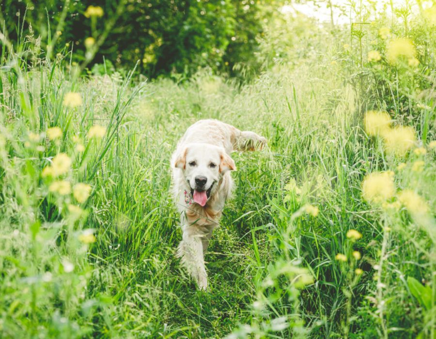 iStock-1406792185-3-1536x988