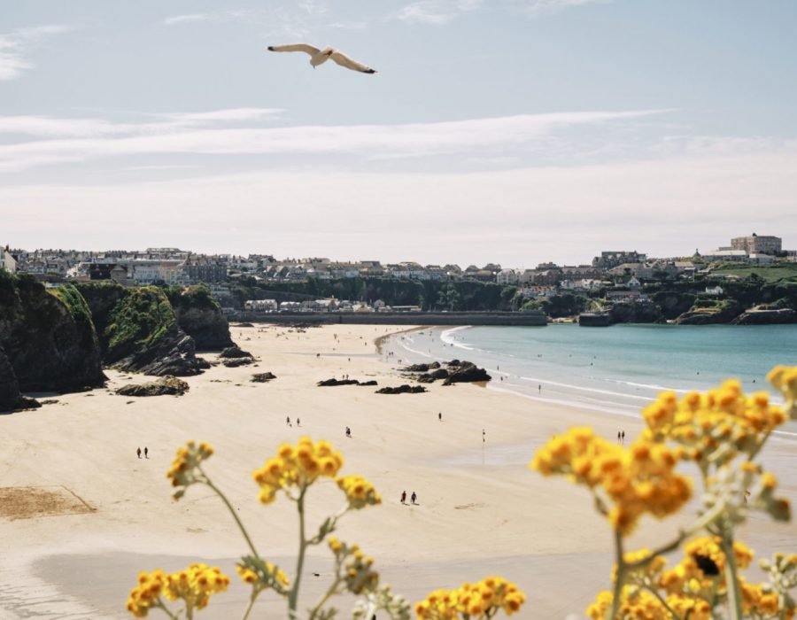 iStock-1787411314-1536x1024