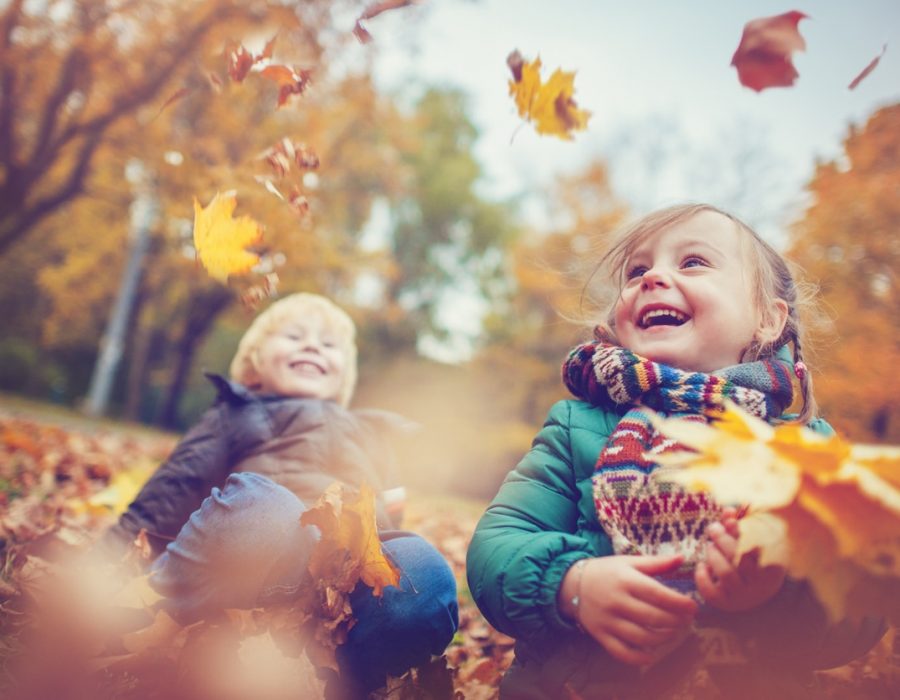 Meadow Lakes Holiday Park