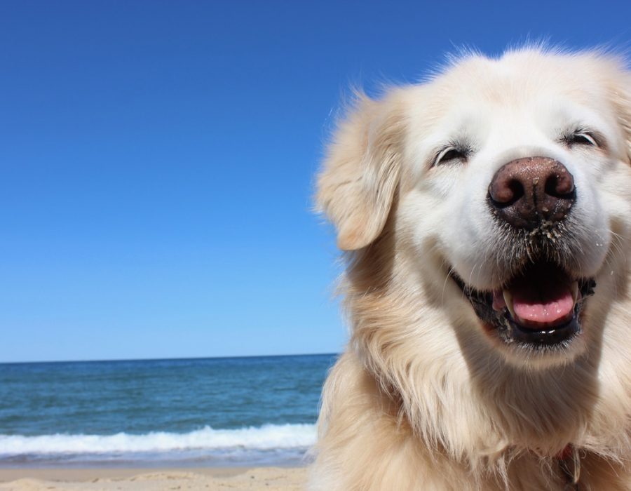 Meadow Lakes Holiday Park